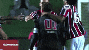 spfc GIF by São Paulo FC