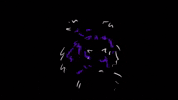 tiger roar GIF by Portugal. The Man