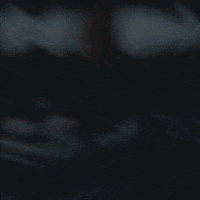 Rugby Chile GIF by Banco de  Chile