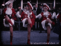 Carnaval Brabant GIF by BrabantinBeelden