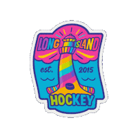 Women Hockey Sticker by LongIslandHockeyCo