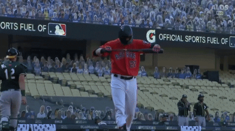 stv7 giphyupload GIF