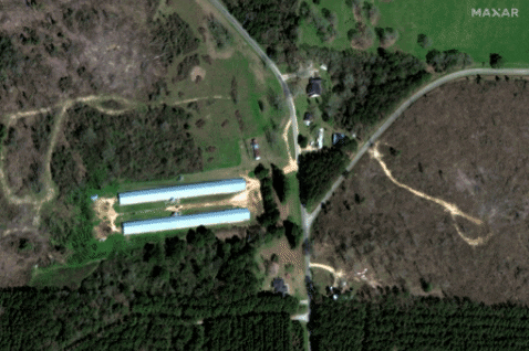 Annesoo giphygifmaker GIF