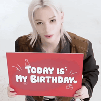 Stray Kids Skz GIF