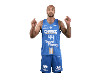 Sharksantibes Sticker by Antibes Sharks
