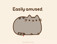 GIF by Pusheen