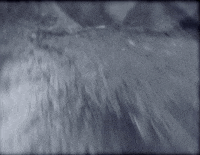 nuclear blast recordings GIF by Machine Head