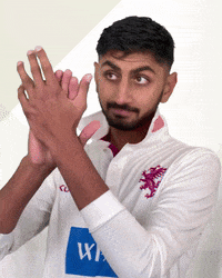Applaud England Cricket GIF by Somerset County Cricket Club