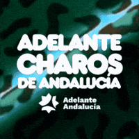 Feminismo GIF by Adelante Andalucia