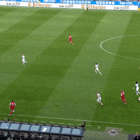 1 Fc Cologne Football GIF by 1. FC Köln