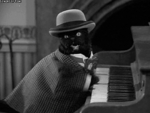cat piano GIF by Cheezburger