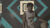 Ndsu Basketball GIF by NDSU Athletics