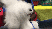 wataugalibrarytx puppet storytime wpl barkley GIF