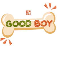 Good Boy Dog Sticker by Petland Florida