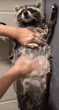 Rocket Bath GIF