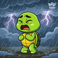 Stormy Weather Bonk GIF by Buddies for Paws