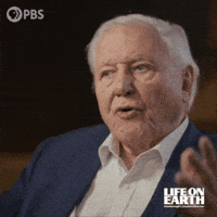 David Attenborough GIF by PBS