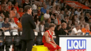 sport dunk GIF by easyCredit Basketball Bundesliga
