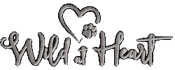 Wildatheart Sticker by 69Days