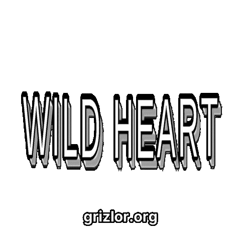 Wild Heart Fun Sticker by grizlor