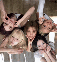 Birds Eye View Dancing GIF