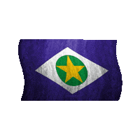 forasteirowestclothes agro br mt bandeira Sticker
