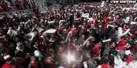 toronto GIF by SB Nation