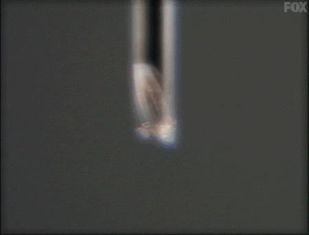 x files GIF by The X-Files