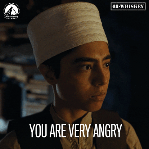 Angry Azad GIF by Paramount Network