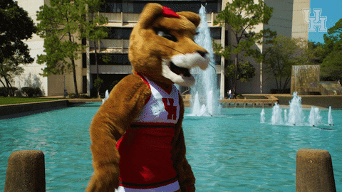 houstoncougars giphyupload houston sasha gocoogs GIF