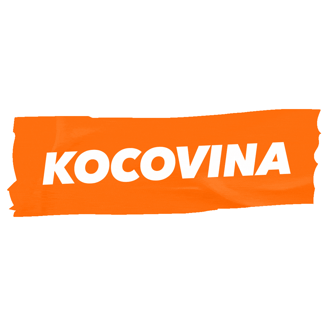 ToBodlo giphyupload bodlo tobodlo antihangover Sticker