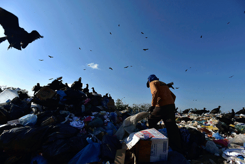 catadores lixÃ£o GIF