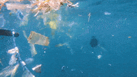 4Ocean
