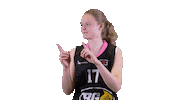Basketball Hoops Sticker by Basket_fi