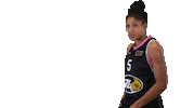 Basketball Hoops Sticker by Basket_fi