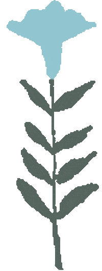 Flower 花 Sticker
