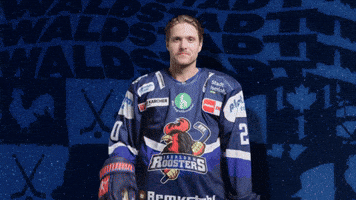 Celebration Hockey GIF by Iserlohn Roosters