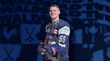 Celebration Hockey GIF by Iserlohn Roosters