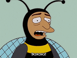 Episode 9 Bumblebee Man GIF by The Simpsons