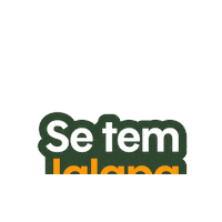 cervejariajalapa cerveja palmas chopp cervejaria Sticker