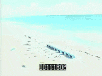miami beach 80s GIF