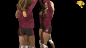 Cuc GIF by CUCougars
