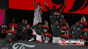 Happy Regular Season GIF by NBA