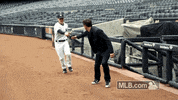 nyy GIF by MLB