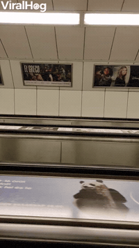 Tilted Escalator Riders in Budapest