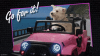 GIPHY PSA Go For It!