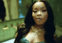 Lolabrookemusicvideo GIF by Lola Brooke