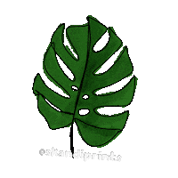 Flower Plant Sticker