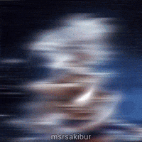 Dragon Dragonball GIF by MSR Media Network