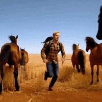 Country Music Album GIF by Yuri Togkces